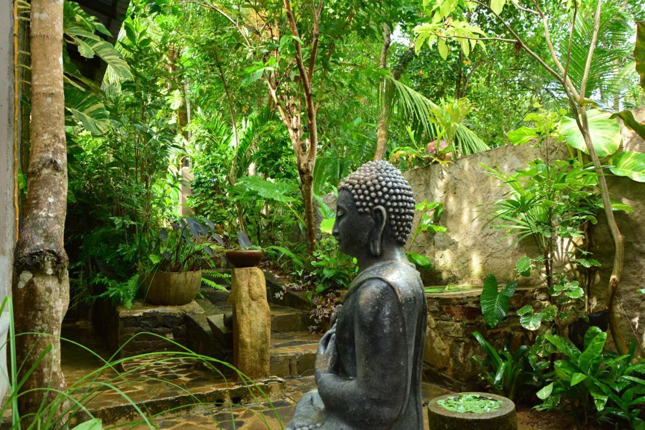 View Guesthouse & Bistro At Goyambokka แทนกาลเล ภายนอก รูปภาพ