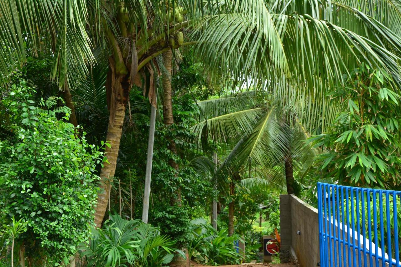 View Guesthouse & Bistro At Goyambokka แทนกาลเล ภายนอก รูปภาพ