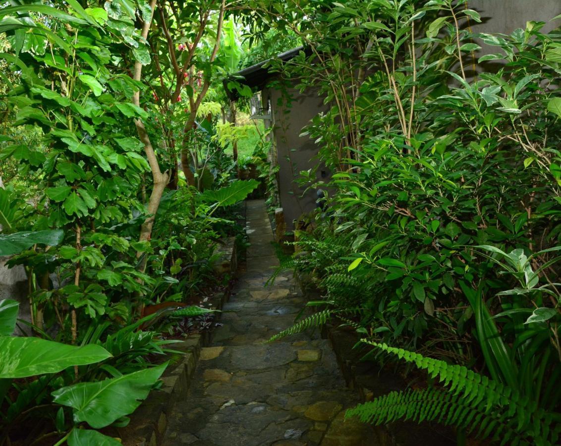 View Guesthouse & Bistro At Goyambokka แทนกาลเล ภายนอก รูปภาพ