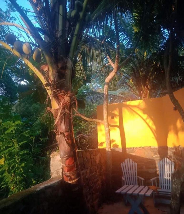 View Guesthouse & Bistro At Goyambokka แทนกาลเล ภายนอก รูปภาพ