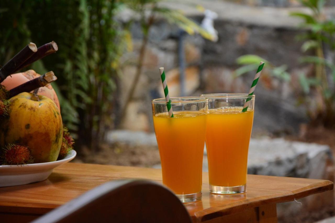 View Guesthouse & Bistro At Goyambokka แทนกาลเล ภายนอก รูปภาพ