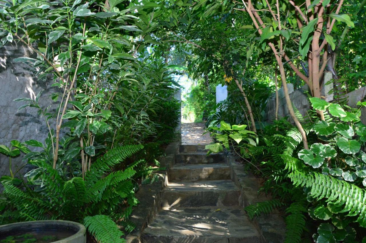 View Guesthouse & Bistro At Goyambokka แทนกาลเล ภายนอก รูปภาพ