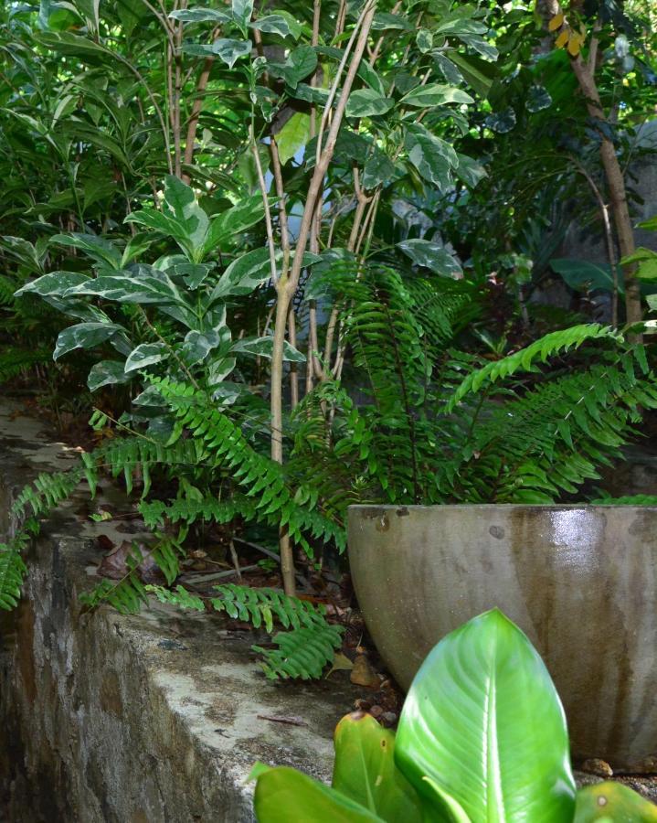View Guesthouse & Bistro At Goyambokka แทนกาลเล ภายนอก รูปภาพ