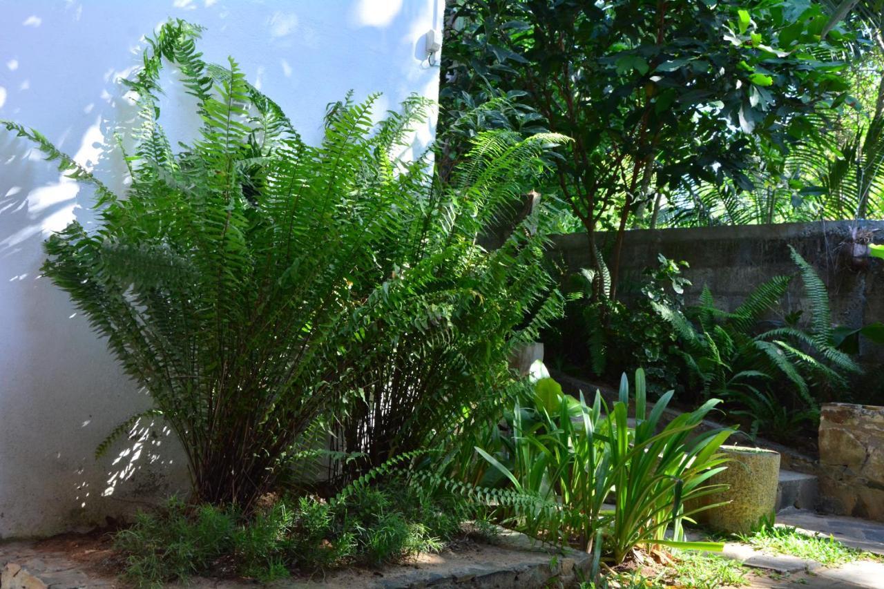 View Guesthouse & Bistro At Goyambokka แทนกาลเล ภายนอก รูปภาพ