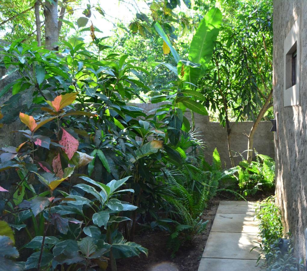 View Guesthouse & Bistro At Goyambokka แทนกาลเล ภายนอก รูปภาพ